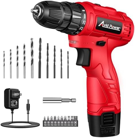 Compact red 12V drill driver with bits